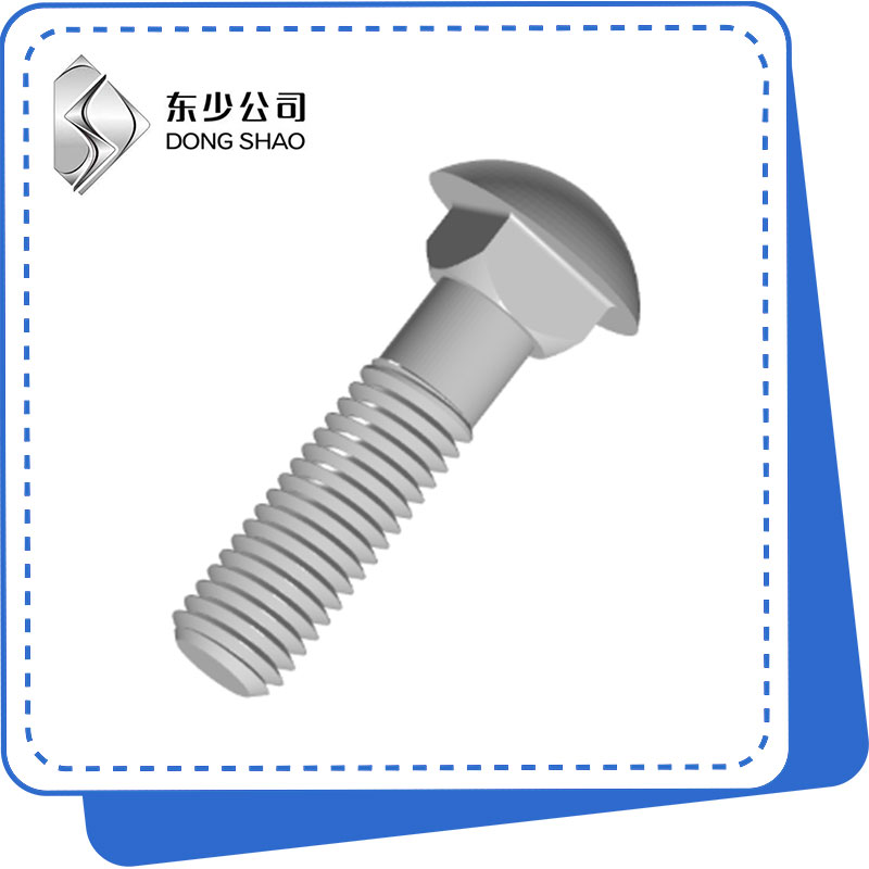 Round taub hau Square Neck Bolts